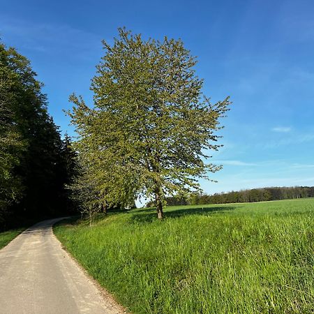 Klosterberghaus - Kontaktloser Check-In Elchingen Exteriér fotografie