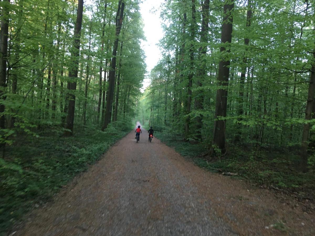 Klosterberghaus - Kontaktloser Check-In Elchingen Exteriér fotografie