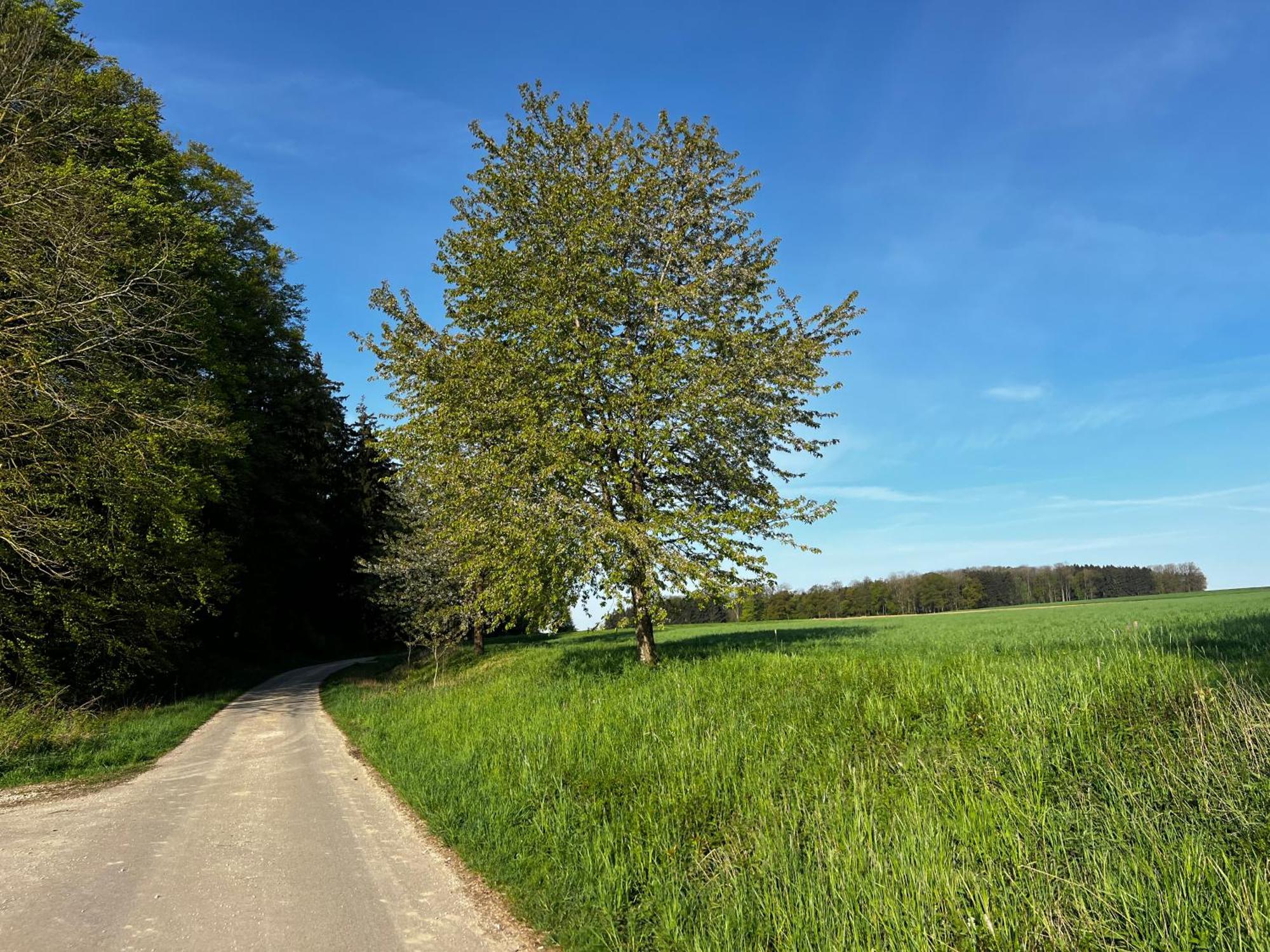 Klosterberghaus - Kontaktloser Check-In Elchingen Exteriér fotografie